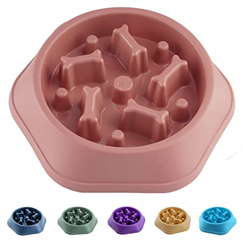CAISHOW Slow Feeder Dog Bowl Slow Food Feeding Pet Bowl Slow Eating Healthy Design for Small Medium Size Dogs