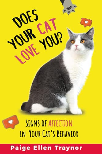 Does Your Cat Love You?: Signs Of Affection In Your Cat's Behavior
