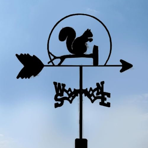 Girouette en acier inoxydable - Coq - Girouette - Pour jardin - H7y3