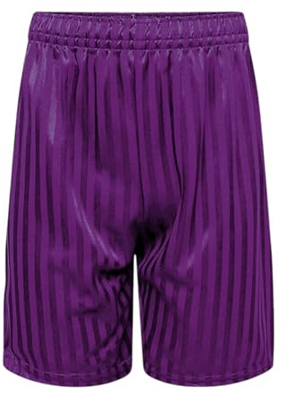 Hiffy Boys Girls PE Shorts School Games Gym Football Shadow Stripe Purple (UK, Age, 7 Years, 8 Years, Regular, Purple)