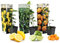 Plant in a Box - Citrus Mix - Cítricos - Limón, Lima, Naranja - Mezcla de 3 - Maceta 9cm - Altura 25-40cm