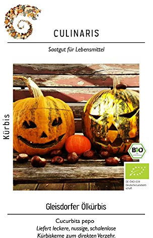 Culinaris 056 Gleisdorfer Ölkürbis (Bio-Ölkürbissamen)