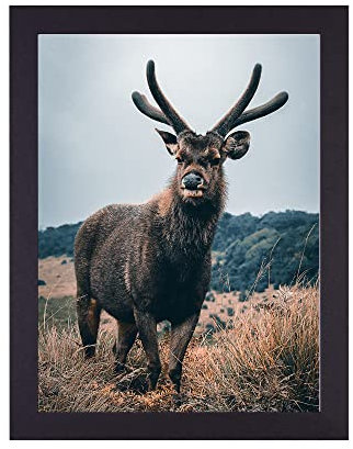 Rahmendesign24 Cadre pour poster Milano 40x60 Noir (mat) Cadre photo, cadre interchangeable, cadre pour photos, cadre pour puzzle