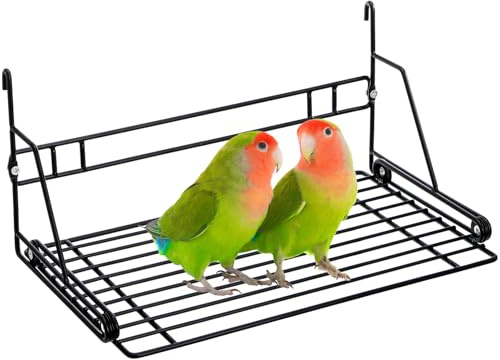 Okllen Bird Perch Stand, Bird Cage Platform Wire Patio Sundeck Playground for Parrots Cockatiels and Small Birds, 12 Lx8 W