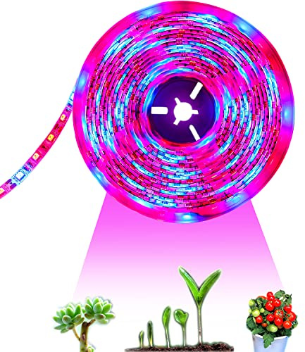 Tesfish LED Pflanzen wachsen Streifen Licht DC 12V IP65 Wasserdicht Vollspektrum SMD 5050 rot blau 3: 1 Seil Licht für Aquarium Gewächshäuser Pflanze
