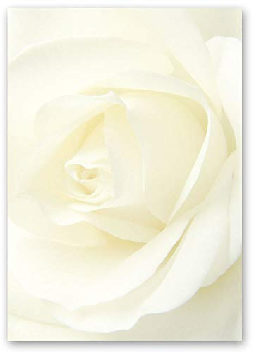Motivpapier WEISSE ROSE Blumen & Blüten, Liebe & Hochzeit - DIN A5 Format 250 Blatt - Paper-Media
