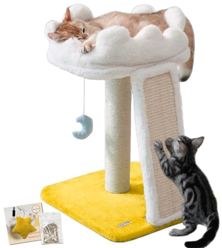 Happi N Pets Cat Tree, Cloud Cat Tower with Soft Bed, Cat Scratching Post & Pad with Larger Perch for Window Viewing, Small Cat Tree with Cute Toys, Bonus Catnip