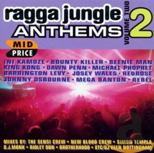 Ragga Jungle Anthems Vol.2