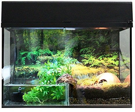 Lucky Reptile Starter Kit Bombina/Pacman, Farbe:Schwarz, Terrarienmaße (B/T/H):80 x 40 x 52 cm
