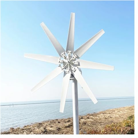 Aerogenerador, Turbina aeroneradora de 1000W, 12V, 24V, 48V, molinos de viento de energía alternativa gratuitos con controlador MPPT, 8 aspas for uso doméstico(24V)