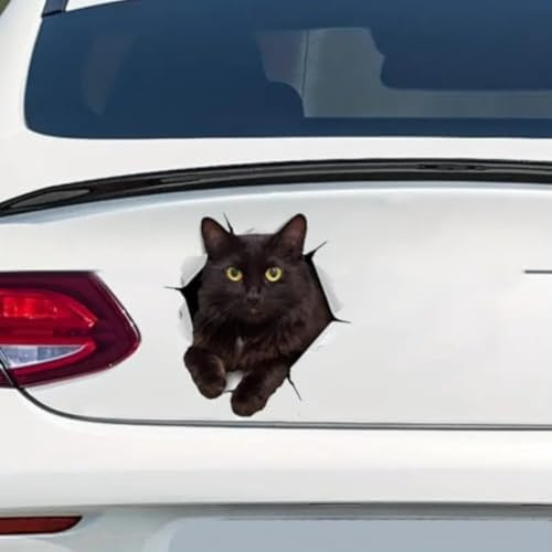 2PCS Schwarze Katze Vinyl Aufkleber 12x13cm, Realistische Katze Aufkleber für Auto, Fenster, Laptop, 3D-Effekt Dekor, Wasserdicht & Langlebig Auto Aufkleber |# DS05