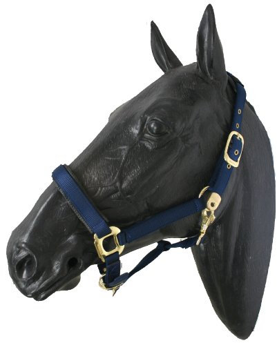 ARBO-INOX Halfter Nylonhalfter Stallhalfter Pony blau