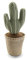 Versa 20270119 Sujetapuertas con diseño Cactus, Madera, Verde, 12.00x12.00x34.00 cm