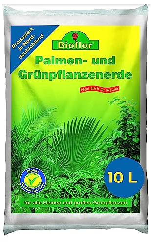 Bioflor Palmen & Grünpflanzenerde Premium 10 L I Blumenerde für gesunde Palmen & Grünpflanzen I speziell abgestimmte Erde für Palmen & Grünpflanzen I Garten- & Zimmerpflanzen-Erde