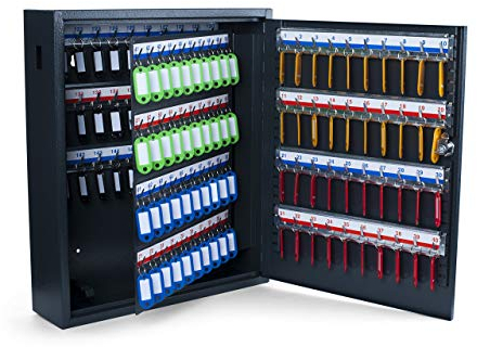 Pavo 8047215 - Caja para Llaves de Alta Seguridad (Capacidad para hasta 150 Unidades) Gris