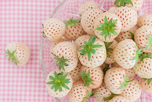Grow Your Secret Garden White Strawberry 20 Seeds - Pineberry- Pineapple Like Flavour