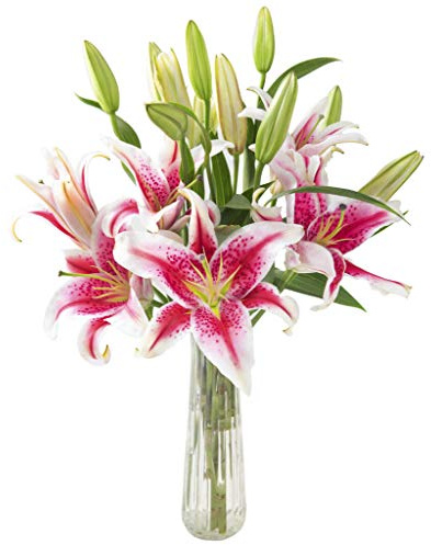 KaBloom - Sailor's Sunset Bouquet of 5 Fresh Pink Lilies with Vase - Fresh Flowers for Birthday, Valentine's & Mother's Day