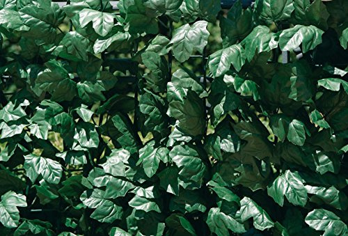 Immergrüne Verdecor-Hecke mit künstlichen Efeublättern
