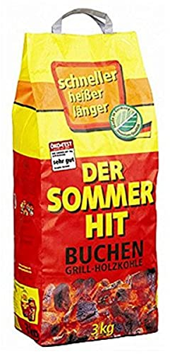 Sommerhit Holzkohle, 3 kg