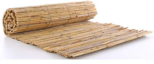 bambus-discount.com Winterschutzmatte Schilf mit 100 x 150cm, Natur - Kleine Kurze Schilfmatte als biologischer Stamm und Pflanzenschutz