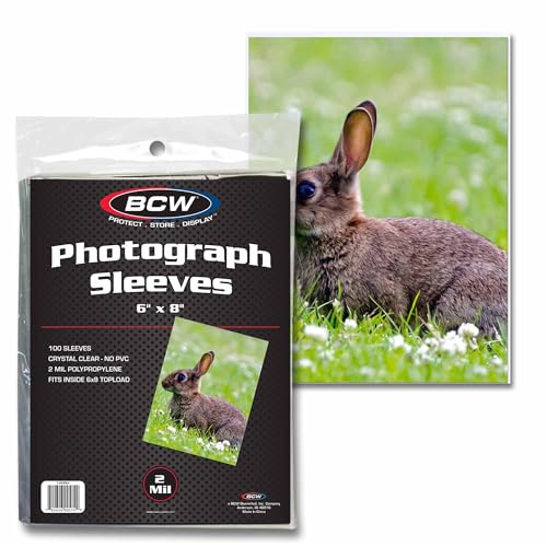 BCW 6x8 Photo Sleeves (100 Pack) - Acid-Free, No PVC | Clear Plastic for Photos, Postcards, and Collectibles | Archival Quality for Albums, Storage, and Display