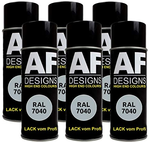 6 X RAL vernice spray per auto vernice colorata vernice spray RAL 7040 grigio finestra opaco