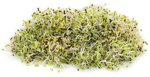 Italian Sprout - Semi per germogli - Pak Choi Panda - 200 gr.