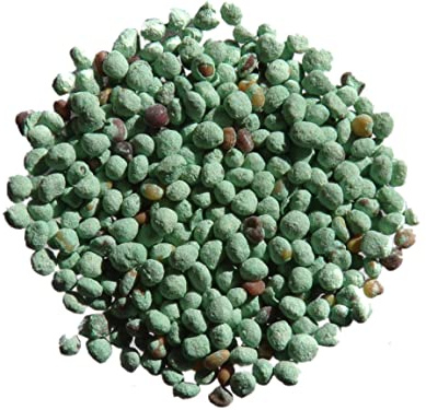 Micro Zwerg-Klee (Gründünger) SEM14 (Sorte: Pipolina (beschichtet), 40 g
