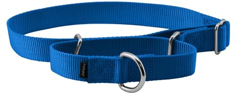 PetSafe Martingale Dog Collar - Safer Than Choke Chains - Gentle Correction for Pulling - Escape Prevention Collar - Durable Nylon - Everyday Walking Gear - 1 - Large - Royal Blue