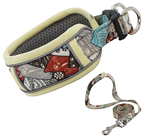 Reflektierendes Halsband und Leine, verstellbares Haustierhalsband mit weicher Polsterung, strapazierfähiges Nylon-Leine für mittel- und große Hunde (L, Kaffee)