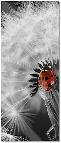 Pixxprint Glasbild Panorama, Wandbild aus Echtglas, schöner Marienkäfer auf Pusteblume, 100x40 cm, inkl. Aufhängung und Abstandshalter