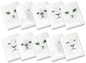 Pigna, Maxi Quaderno Monocromo White, A4, carta interna 100 g/m², pagine 72, Copertina in Cartoncino con trattamenti lucido/opachi, interno 0C, righe con margine, Soggetti Assortiti, 10 Pezzi
