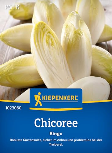 Kiepenkerl Chicoreesamen Bingo 1023060, Gemüsesaat | Chicorée pflanzen & pflegen, knackige Blätter, für Salate & Küche, Gemüsesamen für 200 Pflanzen
