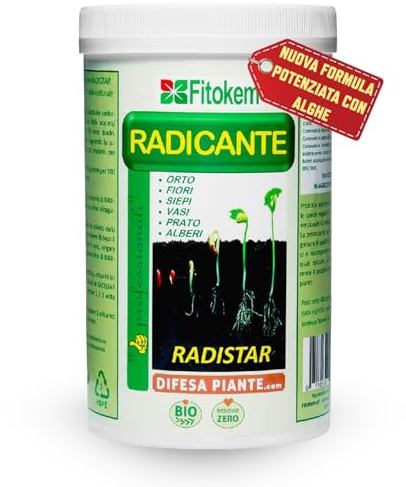 FITOKEM Radistar - Effetto Ormone Radicante per Talee in Polvere (800 gr) Radicante per Piante, Limone, Orchidee, Micorrize Bio, Stimola la Produzione e la Crescita Naturale delle Radici Made in Italy