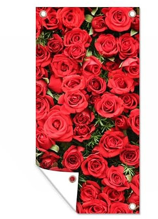 MuchoWow Poster exterieur Roses - Rouge - Arbuste Decoration murale 30x60 cm Résistant aux intempéries/soleil