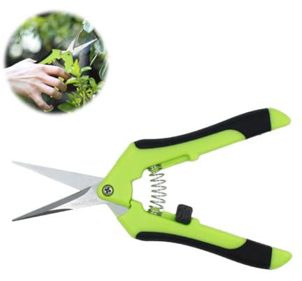 HAISHANG Professional Pruning Shears, Trimming Scissors Straight Tip, Gardening Hand Pruner Pruning Secateurs with Stainless Steel Blades, Garden Scissors for Fruit Branch Bonsai Flower Plants