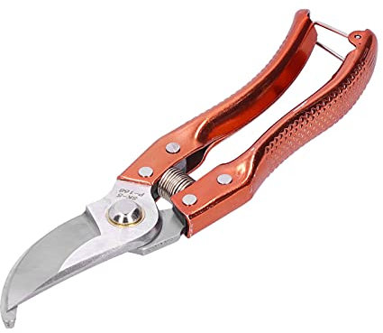 Xixian Padena de Cizallas de Manejo Ergonómico Absorción de Choque, Anti-esquieto, Primavera Tratada con Calor, Oro Sk-5, 8,3 Pulgadas de Largo, Poda de árboles Frutales, Herramienta