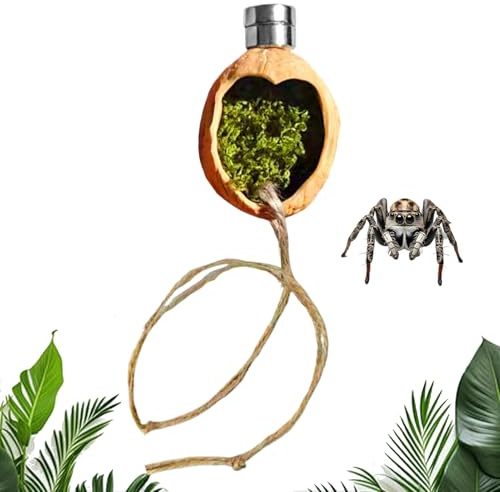 Berriphonia Décoration pour araignées sauteuses - Cage en noyer magnétique - Accessoires d'habitat avec corde - Pour geckos, lézards, bernards, terrarium domestique et élevage