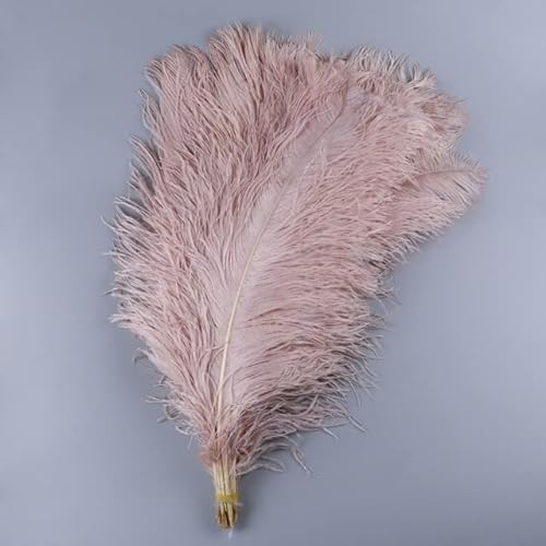 Flauschiges, weiches Leder, rosa Straußenfedern, Dekoration für Lampe, Party, Zuhause, Hochzeit, Kleidung, Nähen, Basteln, Feder, 10 Stück/Lot, 60–65 cm, 10 Stück