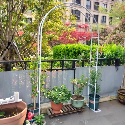 KUANGGE Padiglione Romantico da Giardino con Arco di Rose per Piante rampicanti e Verdure