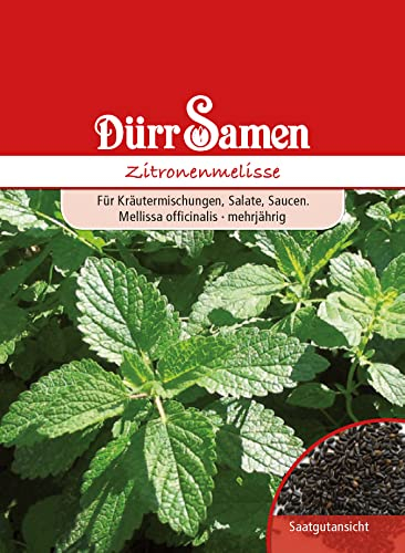 Zitronrnmelisse Samen Zitronenmelissesamen ca 100 Korn Heilkräuter Kräutersamen Heilpflanze Saatgut Balkon Garten Hochbeet Kübel Dürr Samen