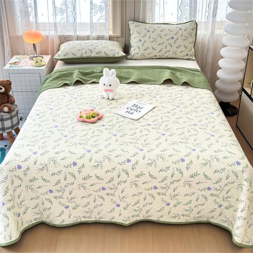 Highdi Colcha Acolchada, Colcha Cama Multiusos Patchwork, Nórdico Simple Manta Sofa Microfibra Extra Suave, Manta Cama Reversible Cama Individual Matrimonio para Alle Jahreszeiten (Verde,200x230cm)
