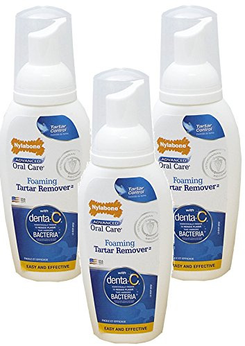 Nylabone (3 Pack) Advanced Oral Care Foaming Tartar Remover Dog Dental Hygiene