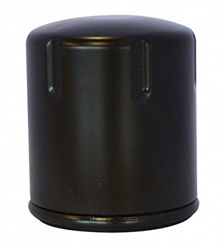 Ama Ölfilter für Traktorenmotor: Ölfilter, Ersatz, kompatibel mit Kubota 15853-99170, hergestellt in Italien