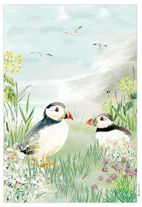 Eddingtons Puffins Patterned Organic Cotton Tea Towel/Dish Cloth - Coastal Eco-Friendly National Trust Nature Collection Kitchen Linens
