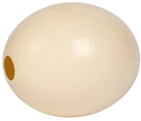 Vestamore Guscio d'uovo di struzzo naturale per arte e intaglio fai da te, altezza 16 cm, larghezza 13,5 cm, colore crema, guscio liscio testurizzato, ideale per progetti di decorazione della casa e