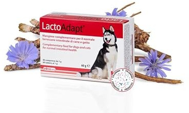 Generisch Dogoteka Lacto Adapt 60