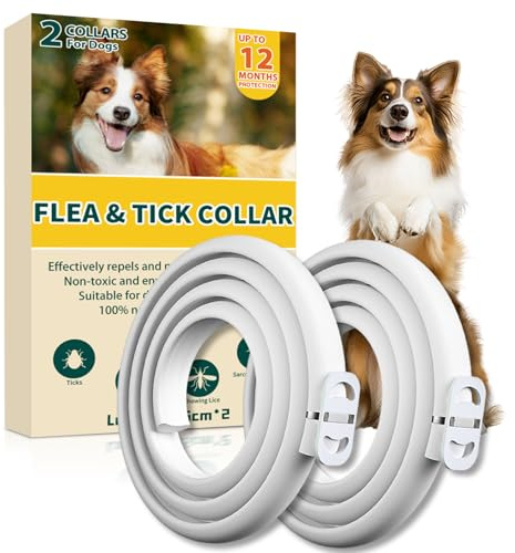 Collar Antiparasitario Perros, Seguro y Eficaz Collares Antiparasitos Perros, 12 Meses de Eficacia Collar Antipulgas Perro de 65 cm para Perro Pequeños, Medianos y Grandes (65cm*2)