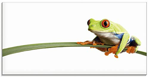 ARTland Wanddeko Glasbilder Wandbild Glas Bild einteilig 60x30 cm Querformat Natur Tiere Frosch Laubfrosch Blätter T0OE