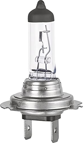 KEINEMARKE 10754 H7 Bombillas para faros Lámparas para automóviles Bombillas halógenas CL 700 12V 55W PX26d Socket 1 pieza Blanco